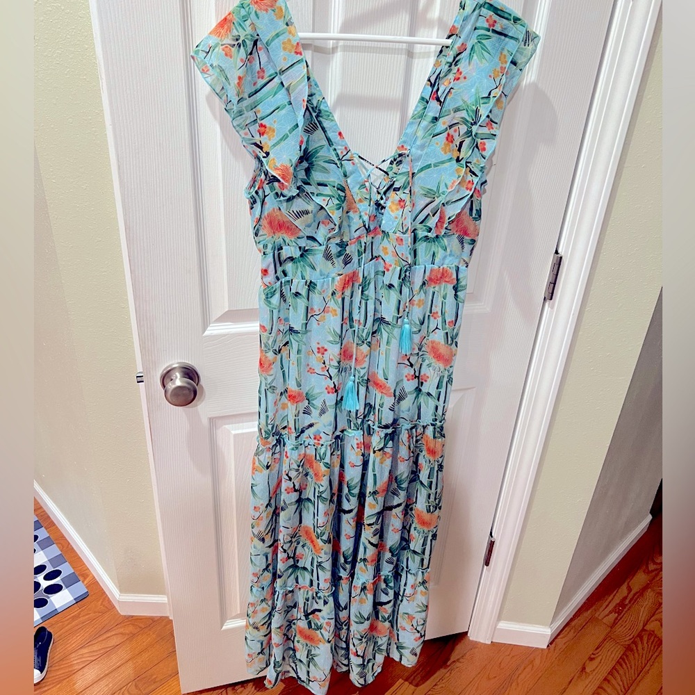 Sheer full length Swim suit cover up.